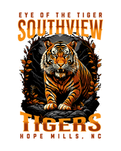 Load image into Gallery viewer, 9DIME | Eye of the Tiger
